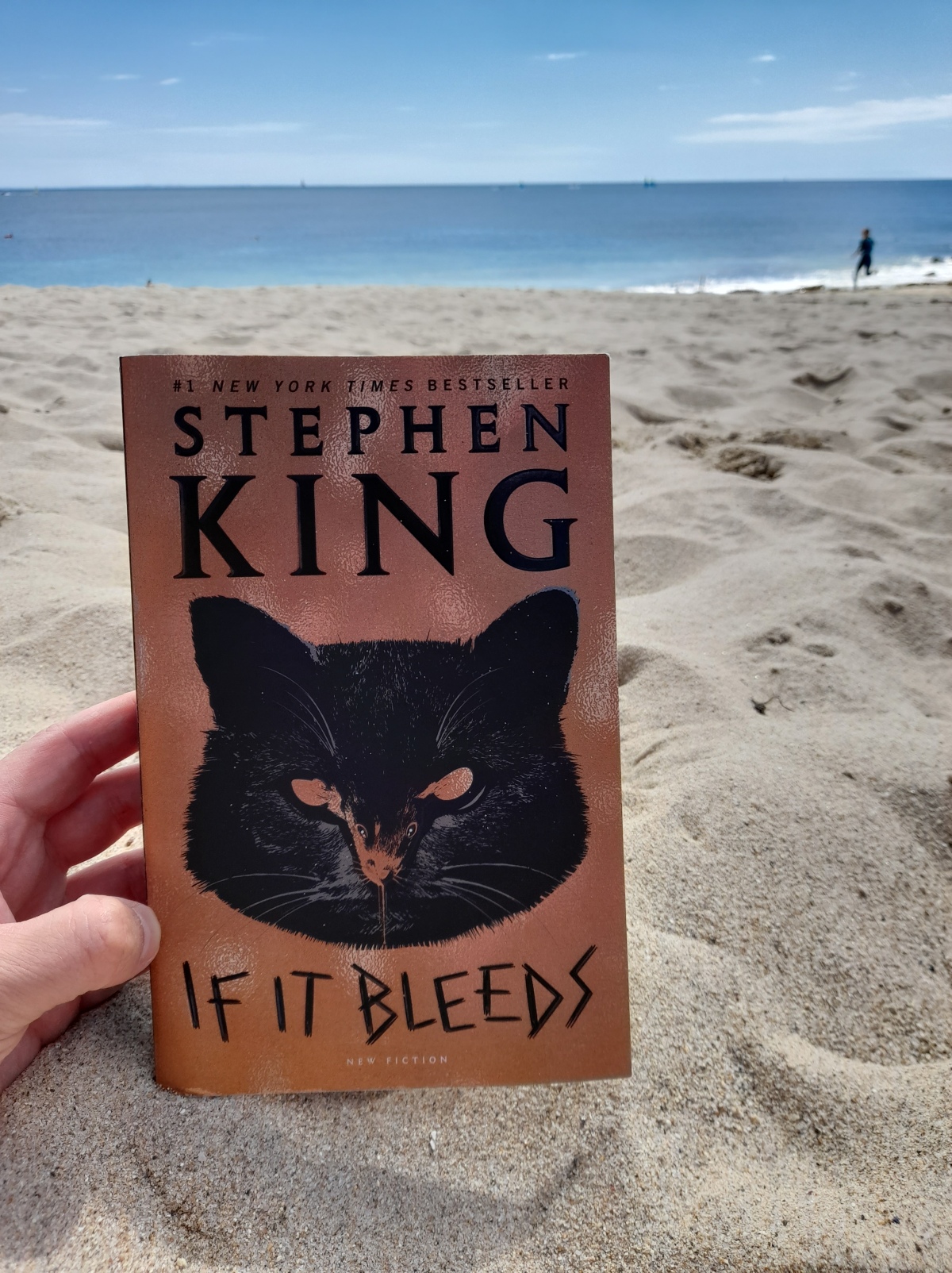 If It Bleeds (2020), Stephen King