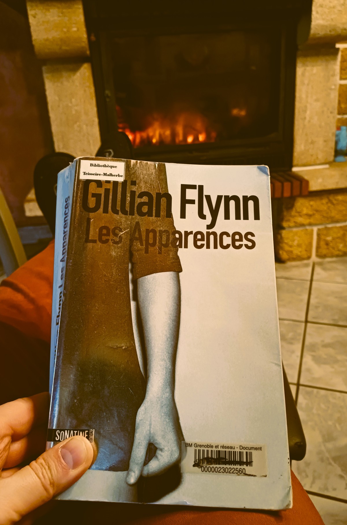 Les Apparences (2012), Gillian Flynn