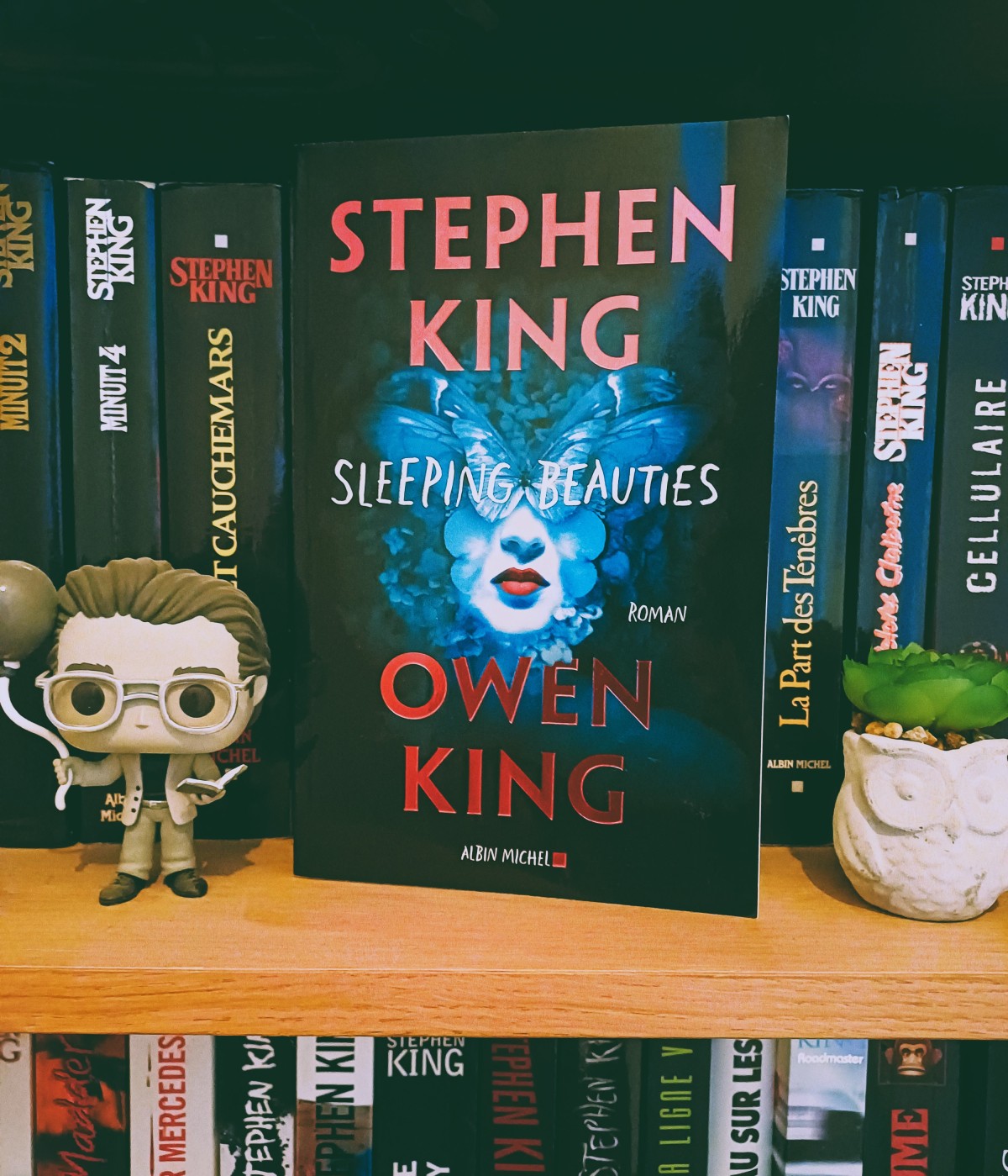 Sleeping Beauties (2017) Stephen King & Owen King